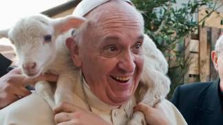 Papa Francisco ovelha