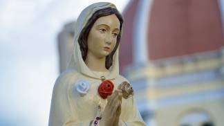 Nossa Senhora Rosa Mística