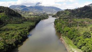 Querida Amazônia