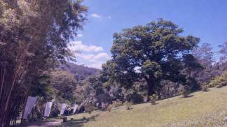 Caminho calvário filtro roxo