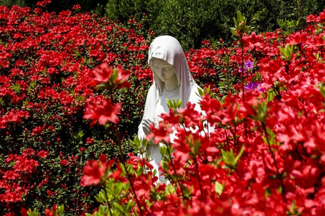 Holyart