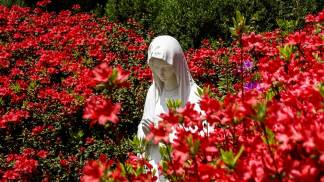 Nossa-Senhora-do-Jardim-das-Rosas-representada-por-varios-artistas