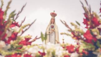 Fátima, flores