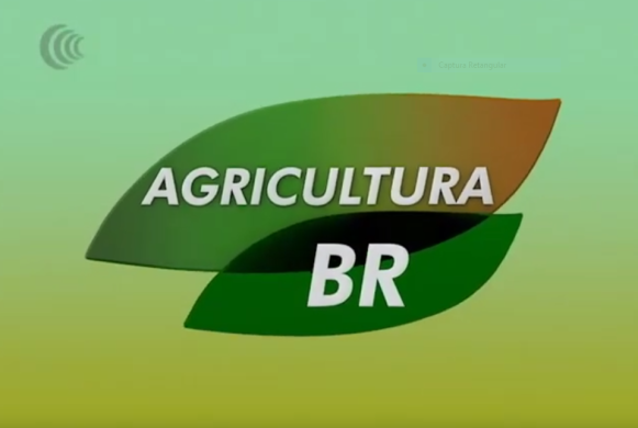 LOGO AGRICULTURA BR