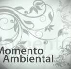 Momento-Ambiental