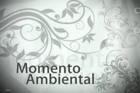 Momento-Ambiental (Arquivo MI)