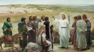 11º Domingo do Tempo Comum