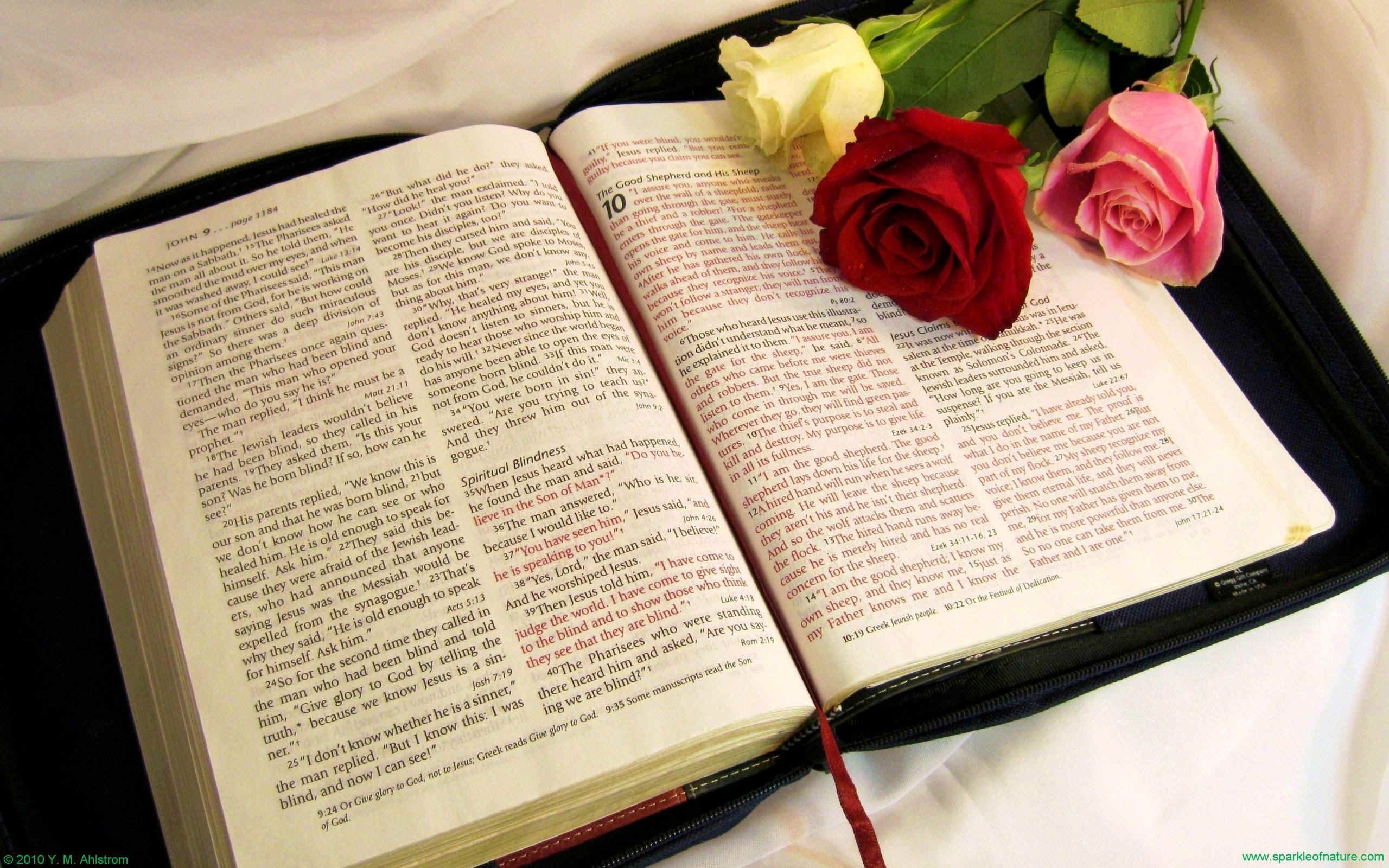 Свет слова божьего. Открытая Библия. Красивая Библия. Библия на красивом фоне. Библия Христианская.