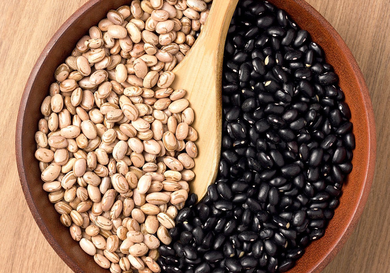 Divulgação Divulgação