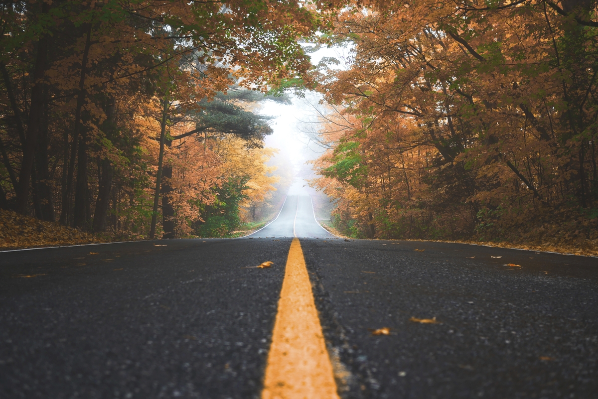 rawpixel.com