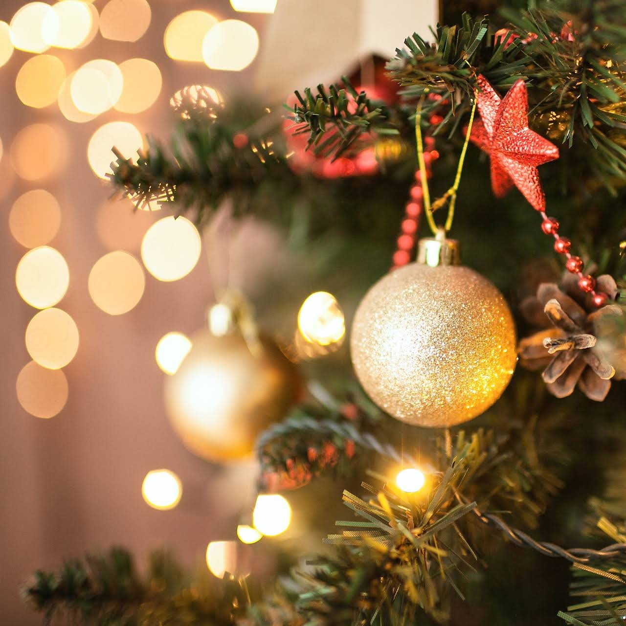Missa da noite – (véspera) Natal do Senhor - Espiritualidade MI Missa da noite – (véspera) Natal do Senhor - Espiritualidade MI