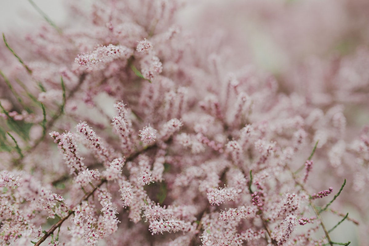 www.rawpixel.com