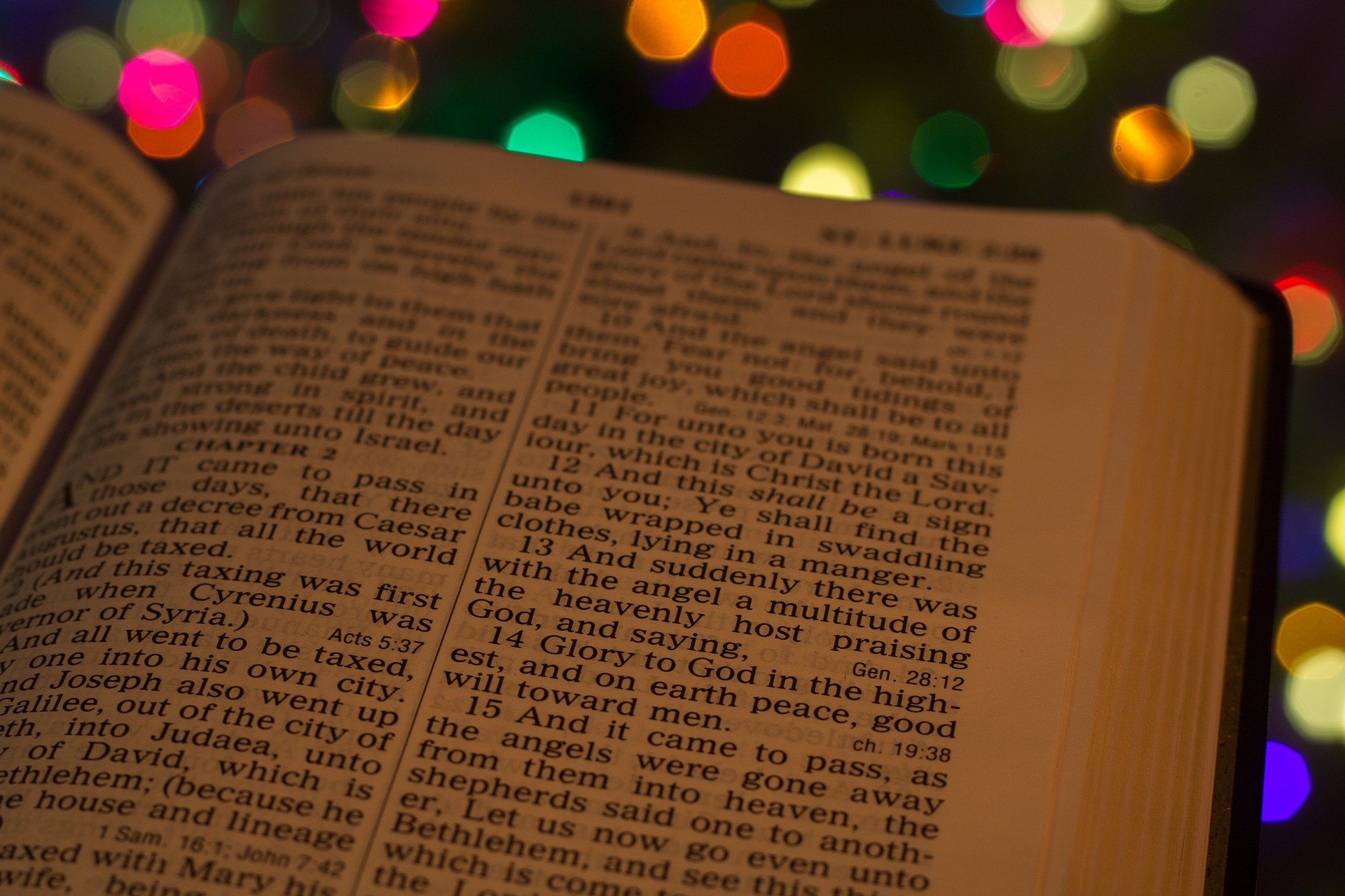 O verdadeiro significado do Natal - Rádio Imaculada O verdadeiro significado do Natal - Rádio Imaculada
