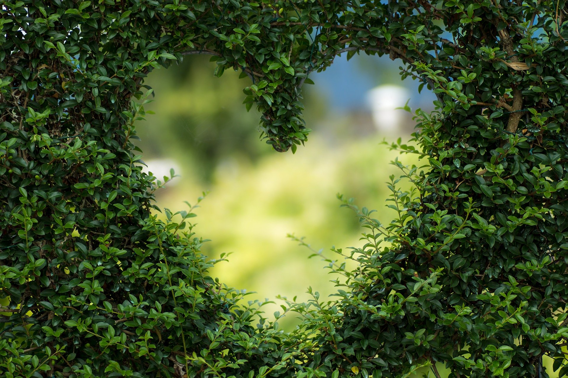 Pixabay