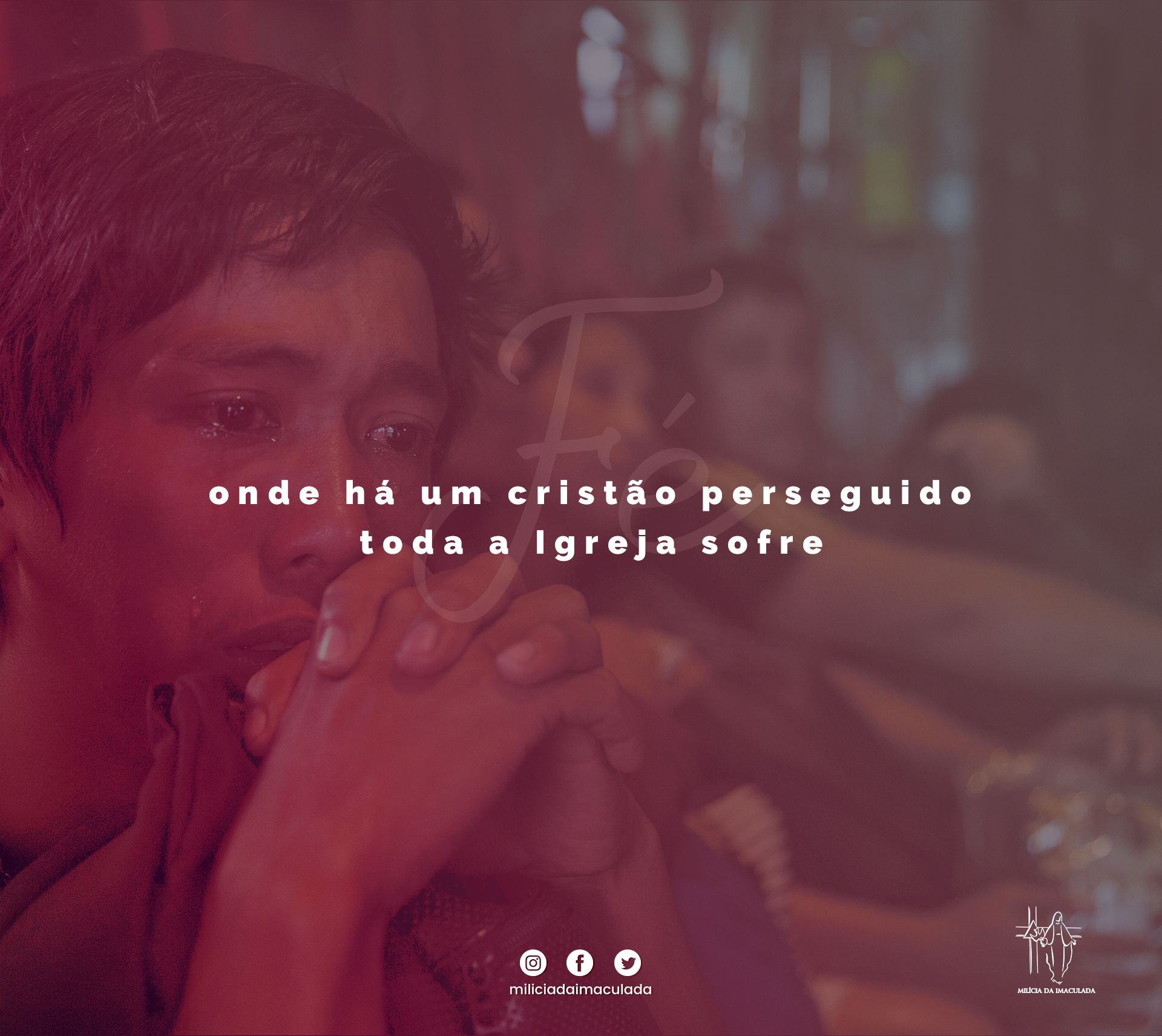 Divulgação Divulgação