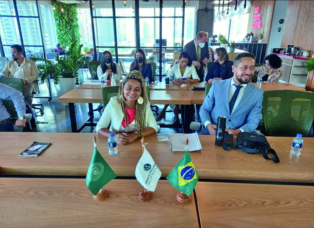 Divulgação