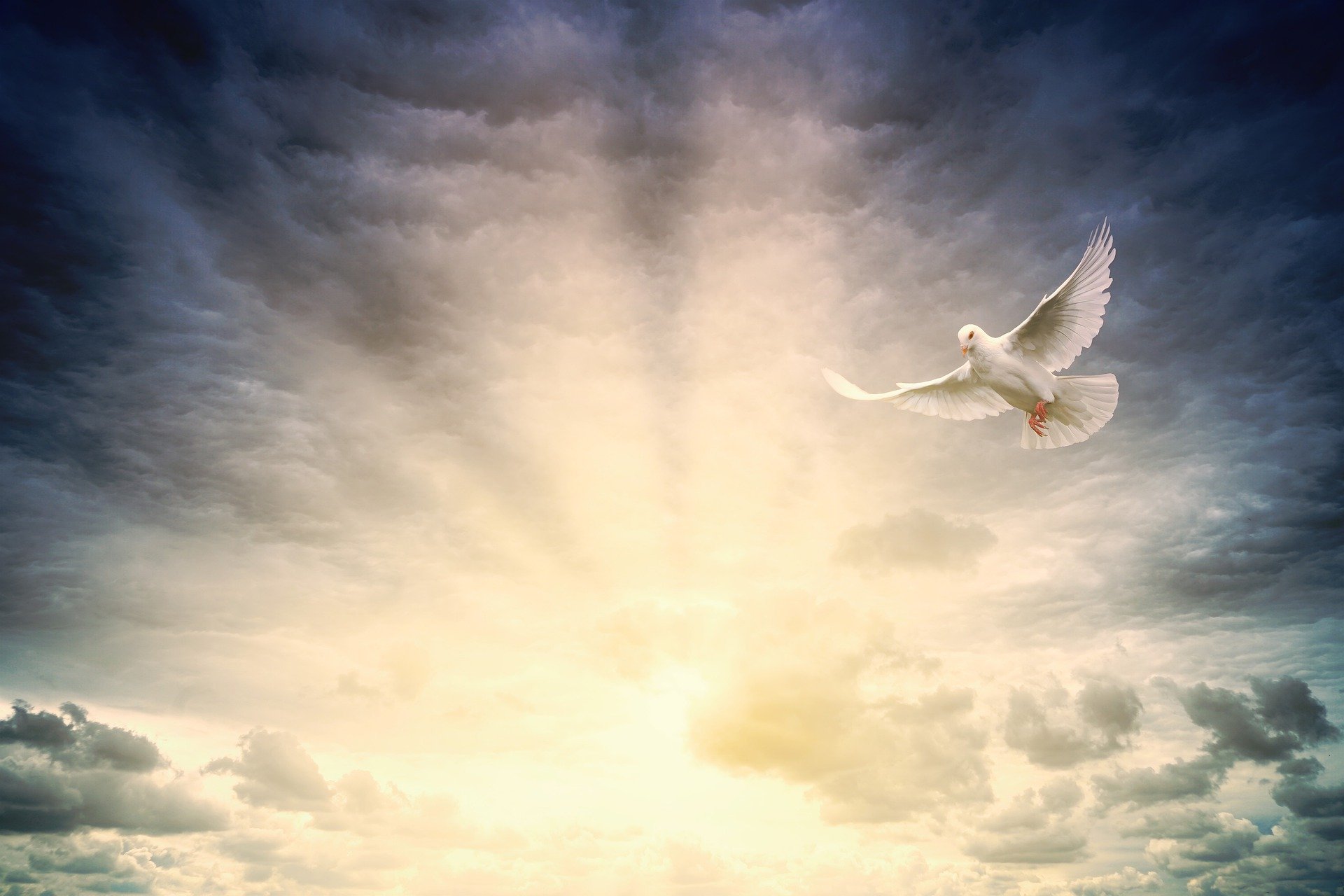 Pixabay