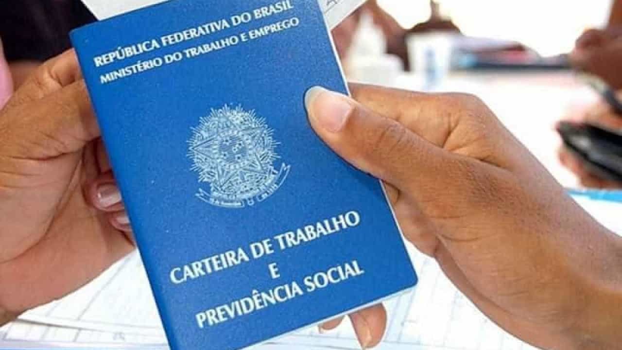 Divulgação Divulgação