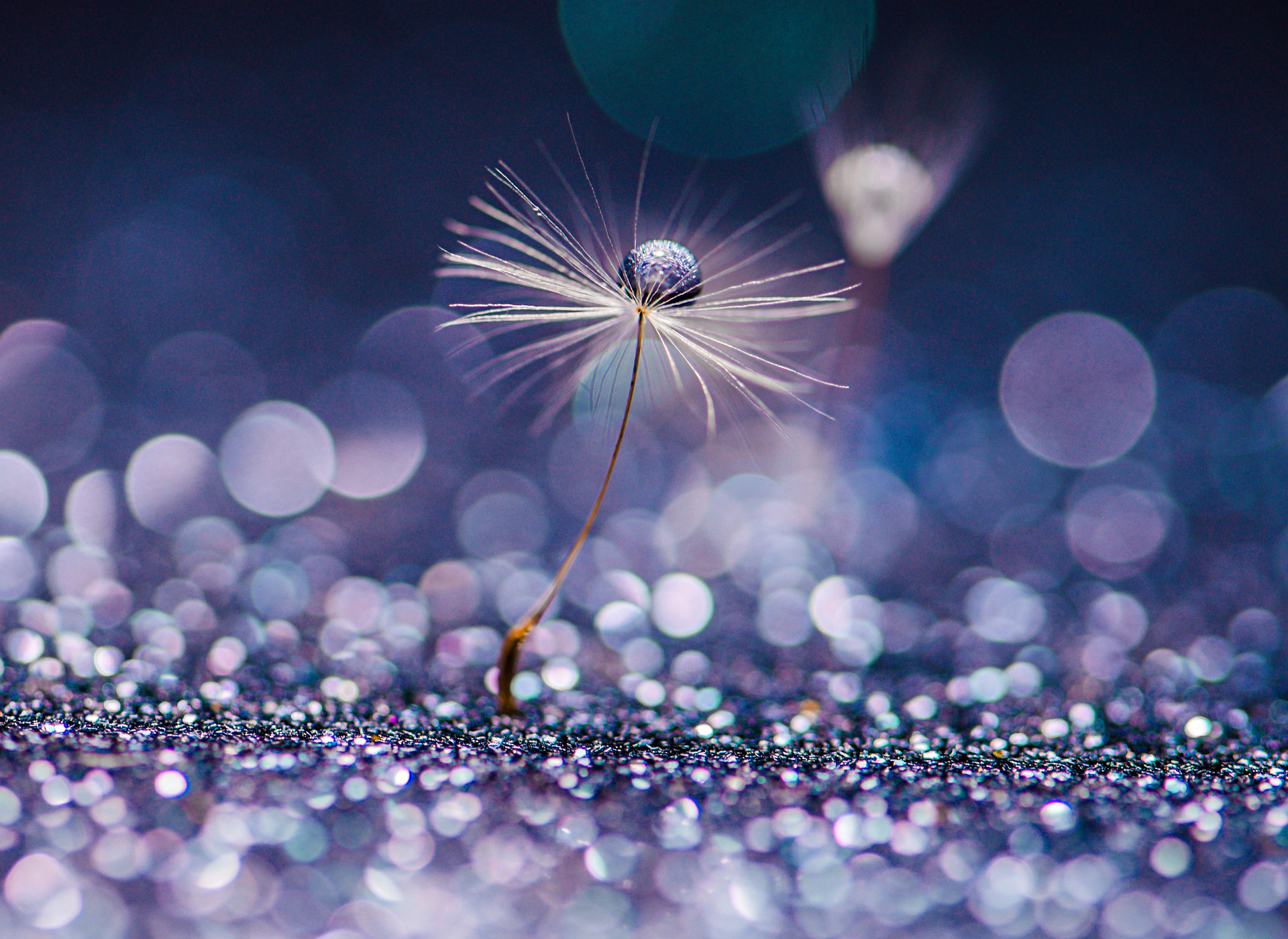 Pixabay